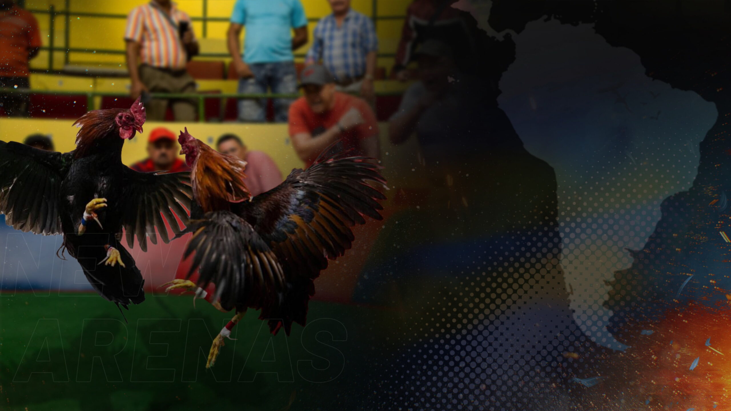 bg-2.52a8774e84727d18787b